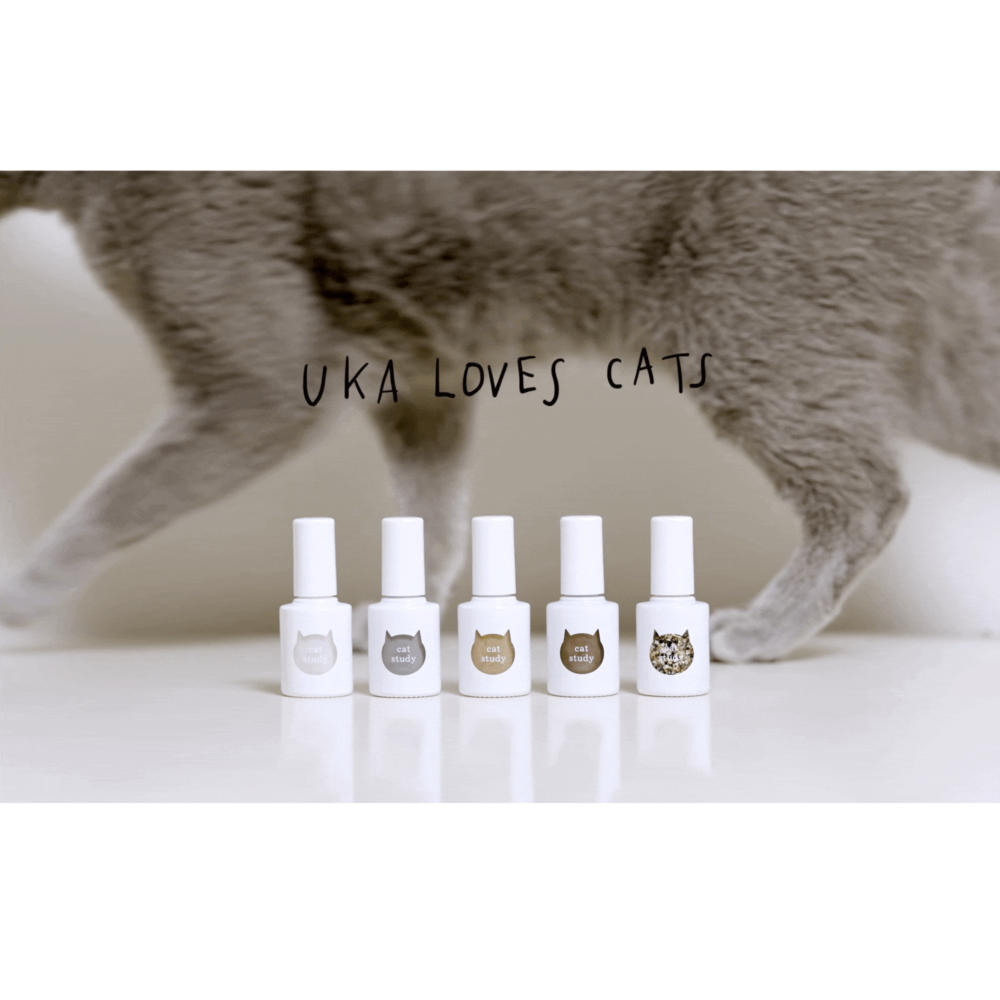 UKA LOVES CATS。本日よりキャットスタディの先行予約がスタート！ビジュアル動画も公開画像