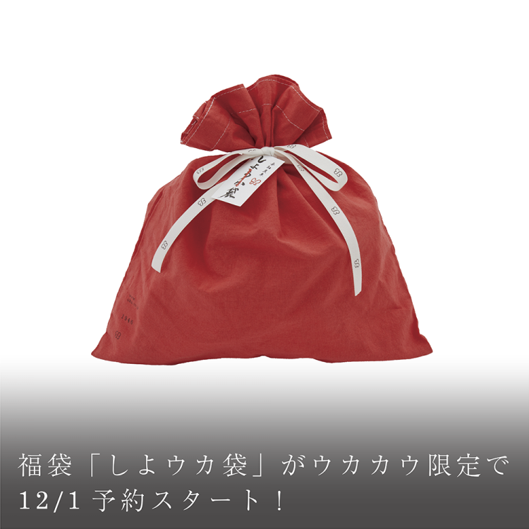 福袋「しよウカ袋」がウカカウ限定で12/1予約スタート！画像
