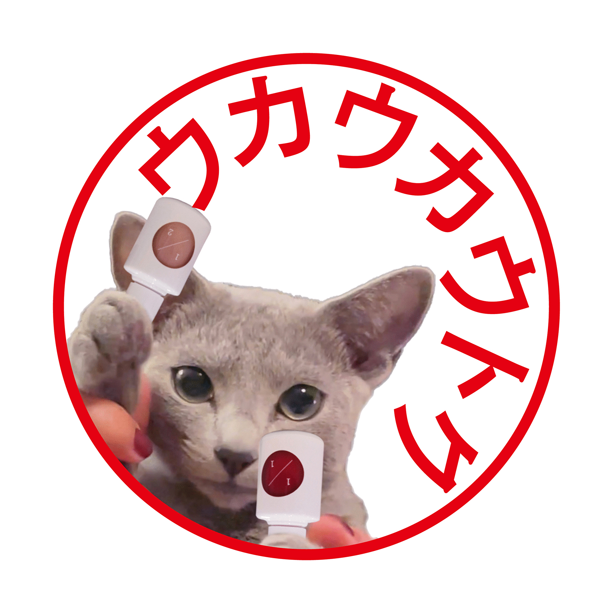 買えば買うほどお得、ウカウカウトク。終了まで3日！画像