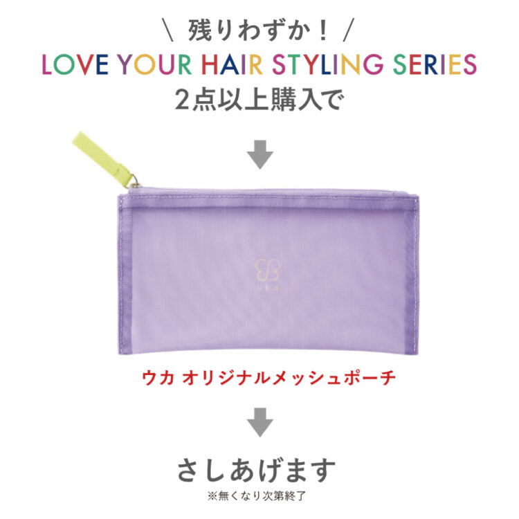 数量限定！2種以上スタイリングシリーズご購入でオリジナルのメッシュポーチをプレゼント画像