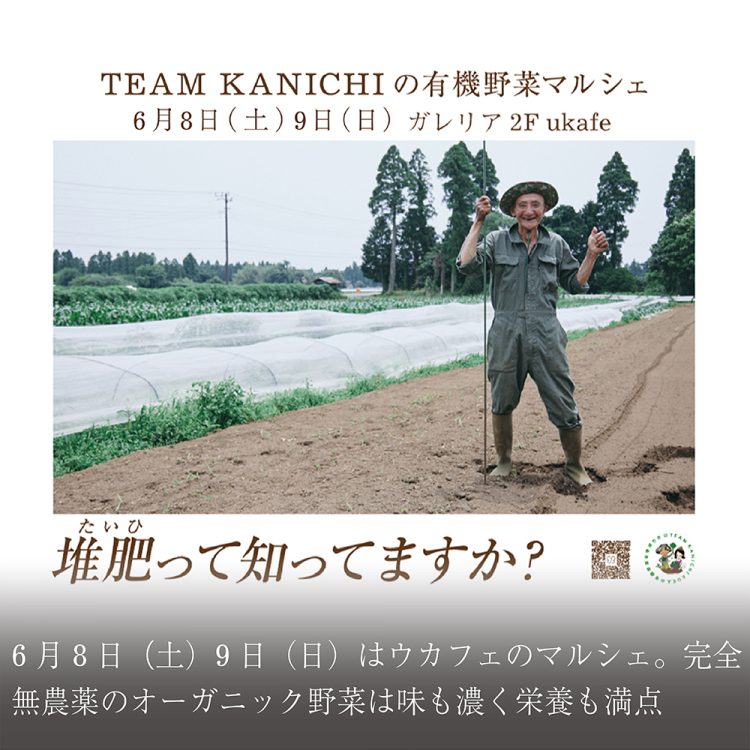 6月8日(土)9日(日)はウカフェのマルシェ。完全無農薬のオーガニック野菜は味も濃く栄養も満点！画像