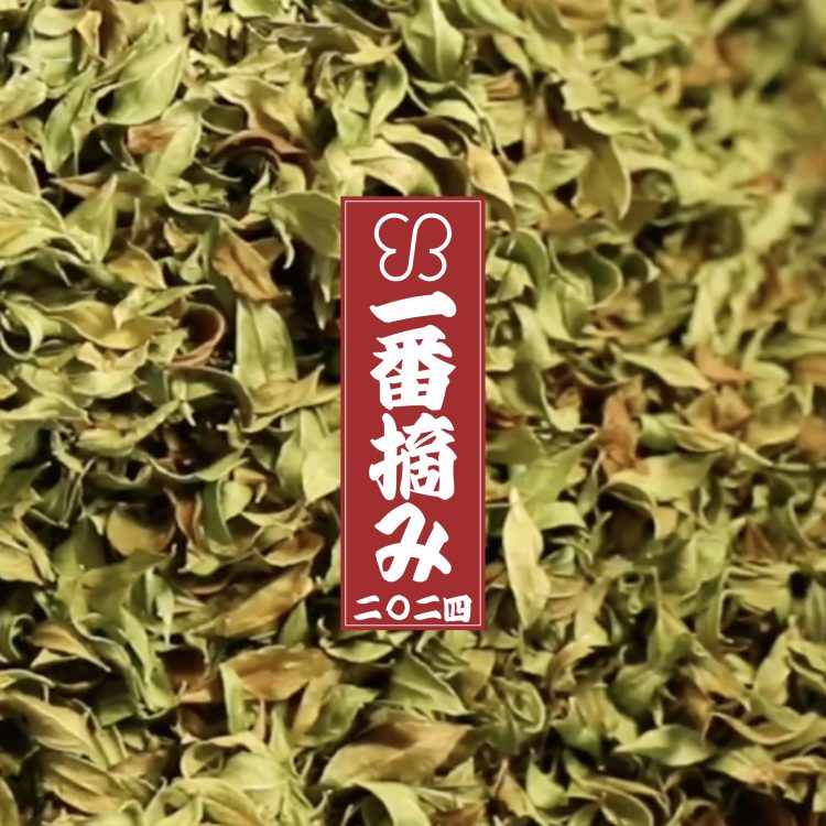 2024年に初めて収穫されたフレッシュな“一番摘み 石垣ヘナ”が9月23日(月)に数量限定で発売。同日記念インスタライブの配信も画像